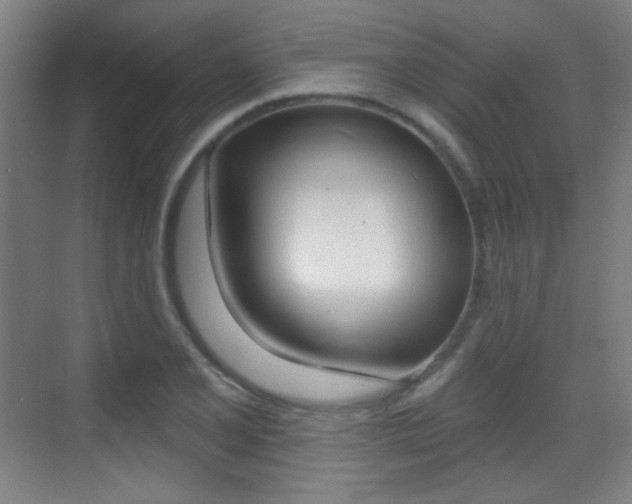 X0000070401077200606090923