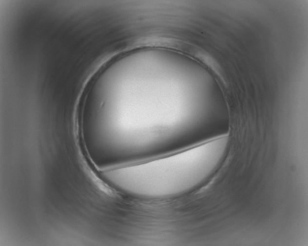 X0000070401082200606090923
