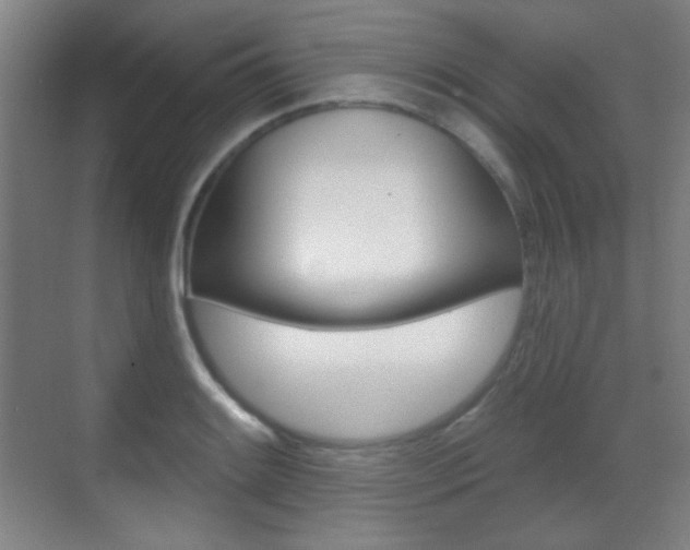 X0000070401084200606090923