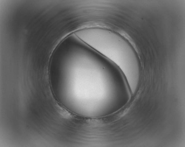 X0000070401089200606090923
