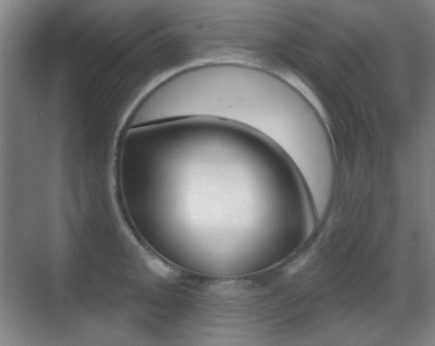 X0000070401093200606090923