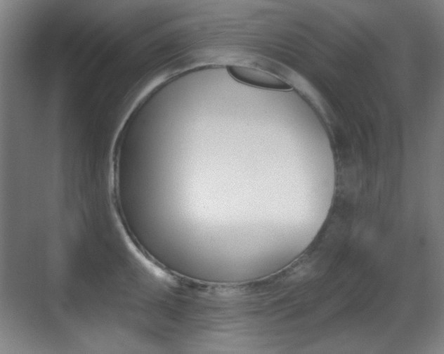 X0000070401095200606090923