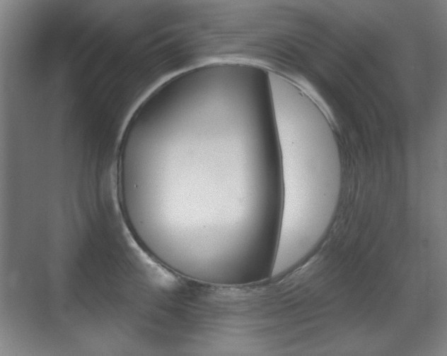 X0000070401100200606090923