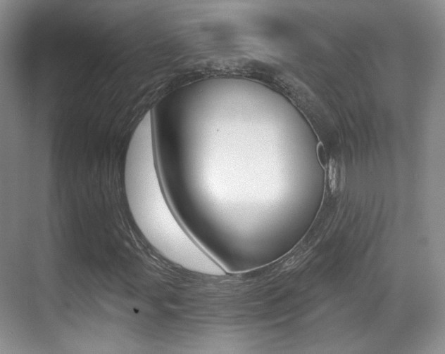X0000070401107200606090922