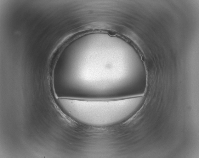 X0000070401115200606090922