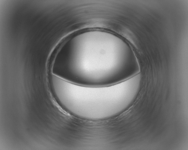 X0000070401116200606090922