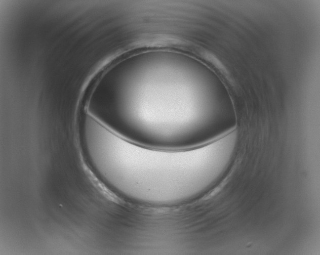 X0000070401122200606090922