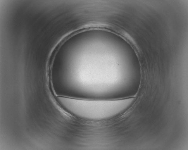 X0000070401124200606090923