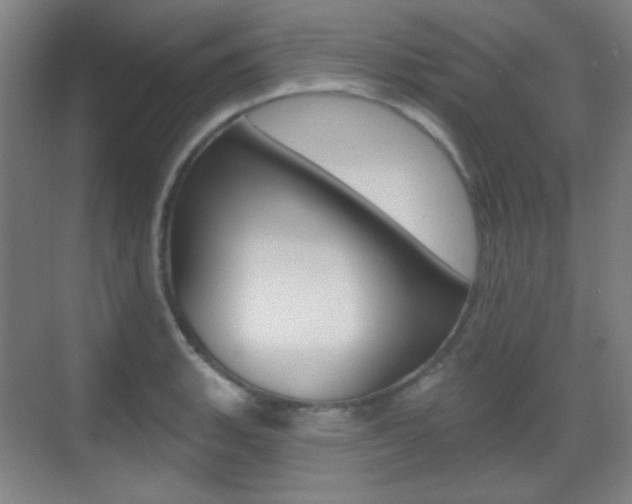 X0000070401135200606090923