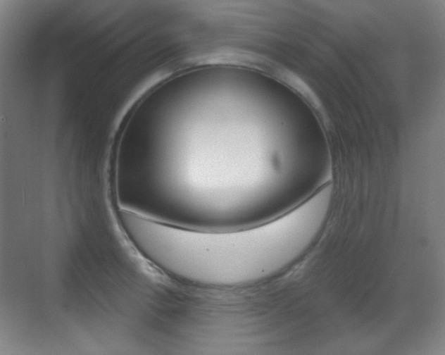 X0000070401138200606090923