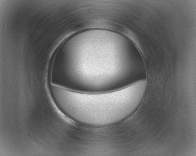 X0000070401139200606090923