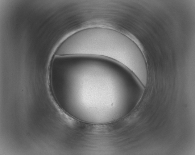 X0000070401144200606090923