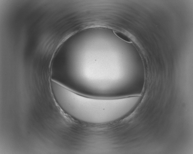 X0000070401145200606090923