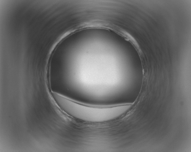 X0000070401146200606090923
