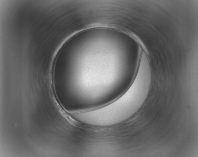 X0000070401148200606090923