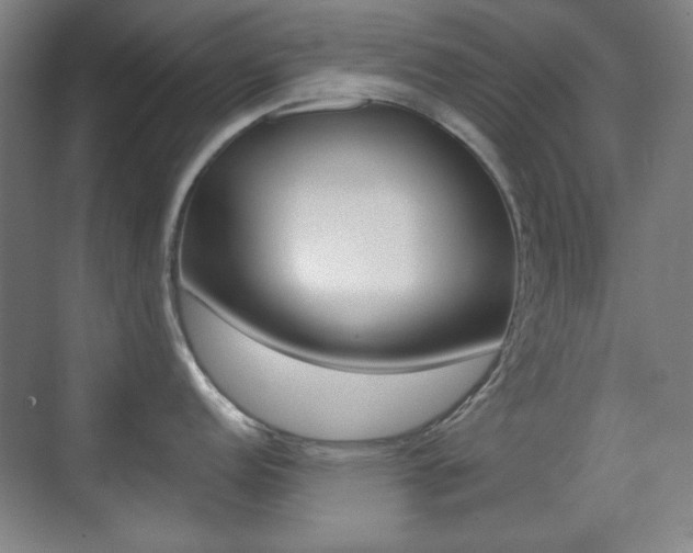 X0000070401152200606090923