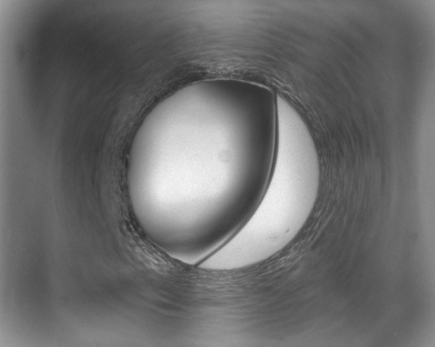 X0000070401153200606090922
