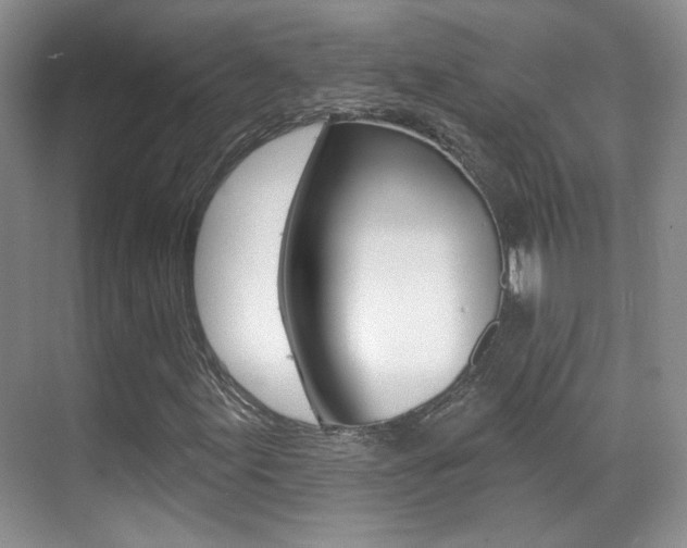 X0000070401155200606090922