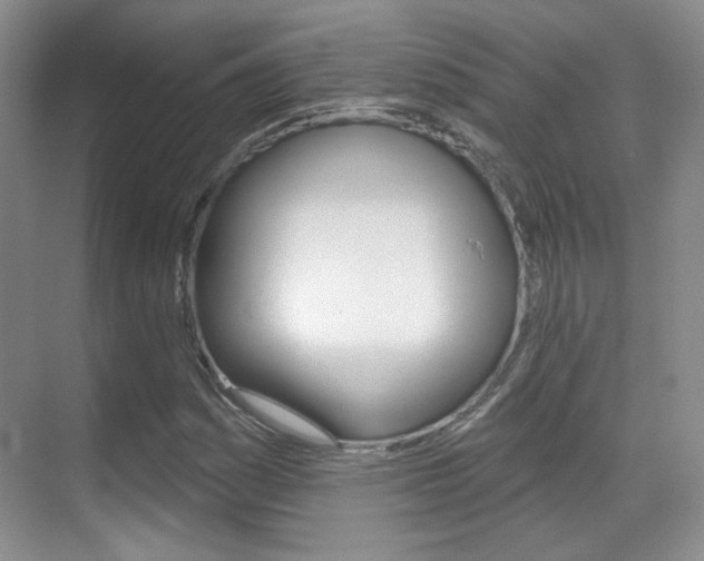 X0000070401161200606090922