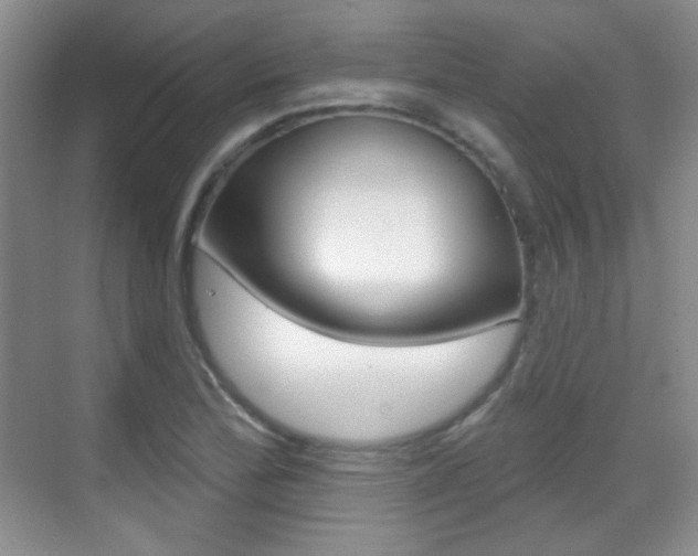 X0000070401172200606090922