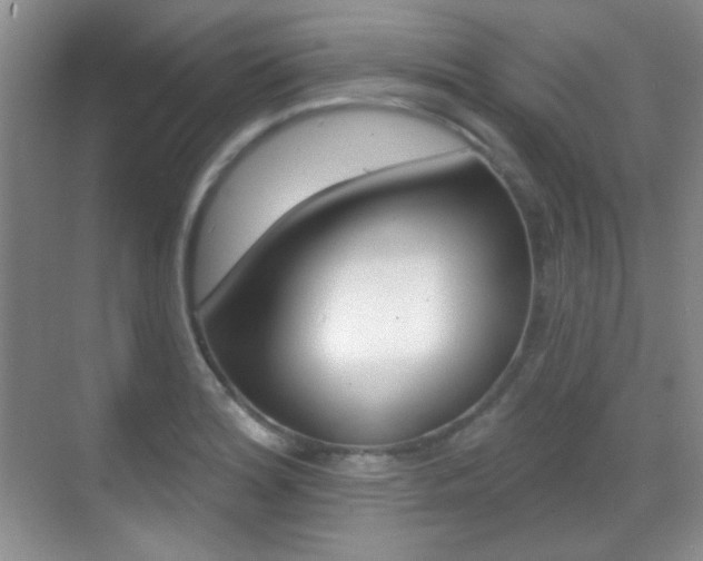 X0000070401180200606090922