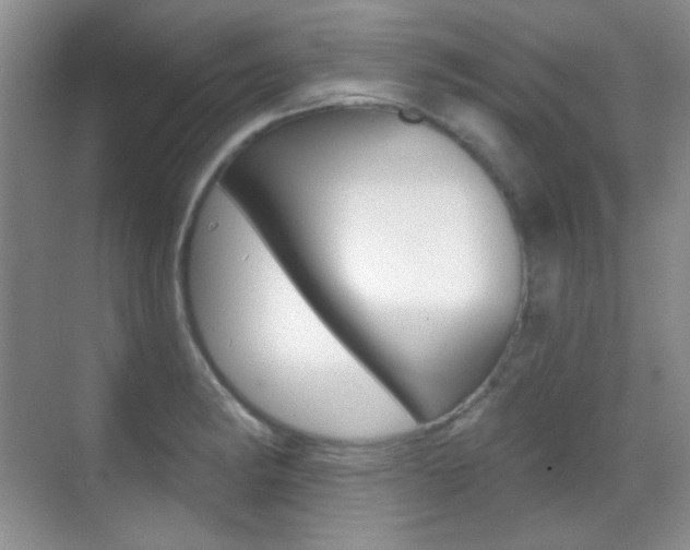 X0000070401182200606090922