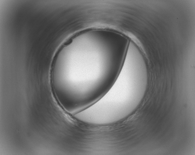 X0000070401183200606090922