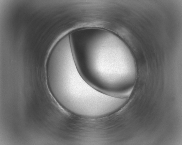 X0000070401184200606090922