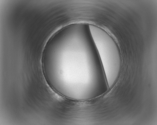 X0000070401189200606090922