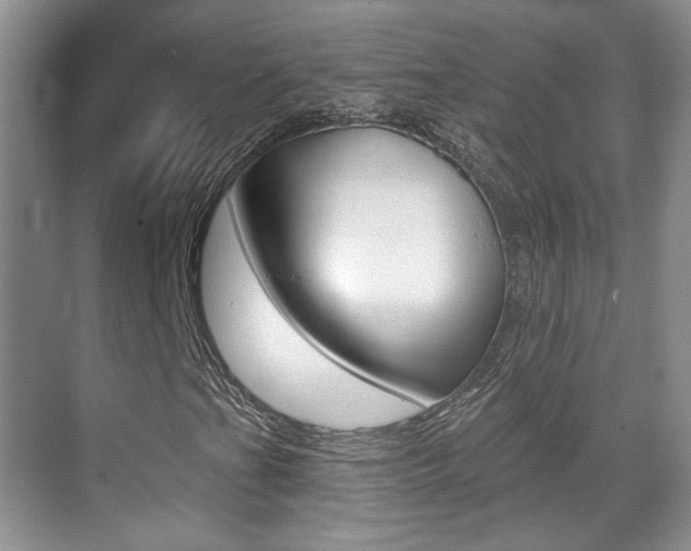 X0000070401201200606090921