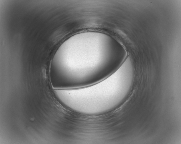 X0000070401209200606090921