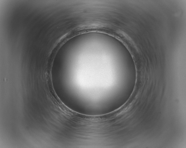 X0000070401210200606090921