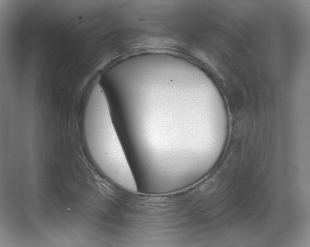 X0000070401211200606090921