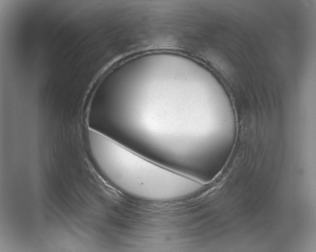 X0000070401212200606090921