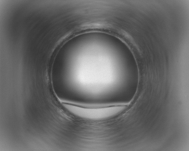 X0000070401218200606090921