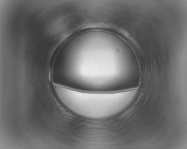 X0000070401221200606090921