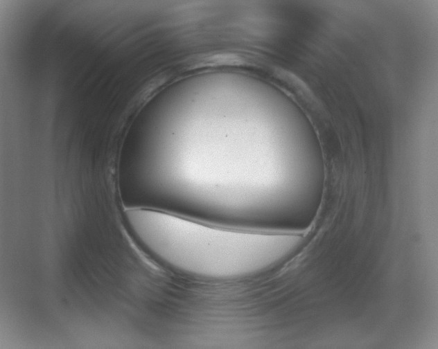 X0000070401225200606090921