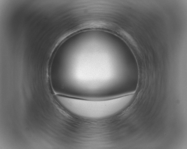 X0000070401226200606090921