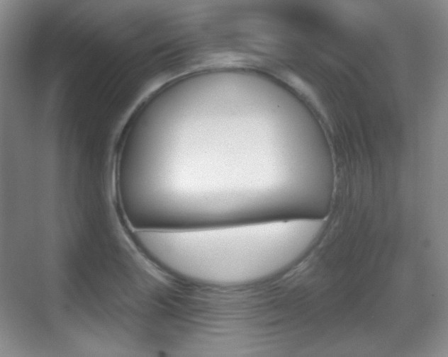 X0000070401227200606090921