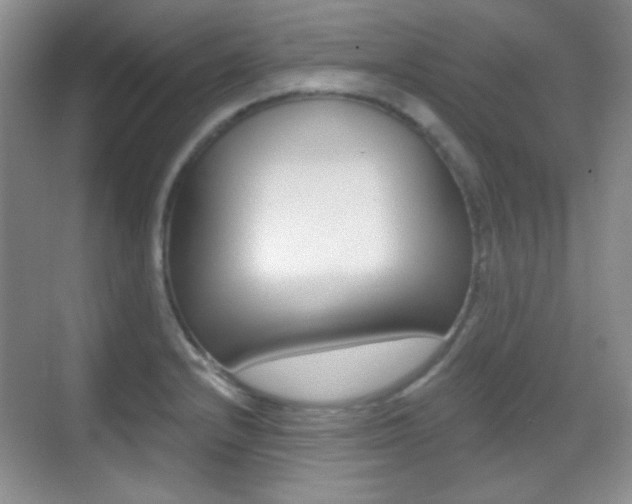 X0000070401232200606090921