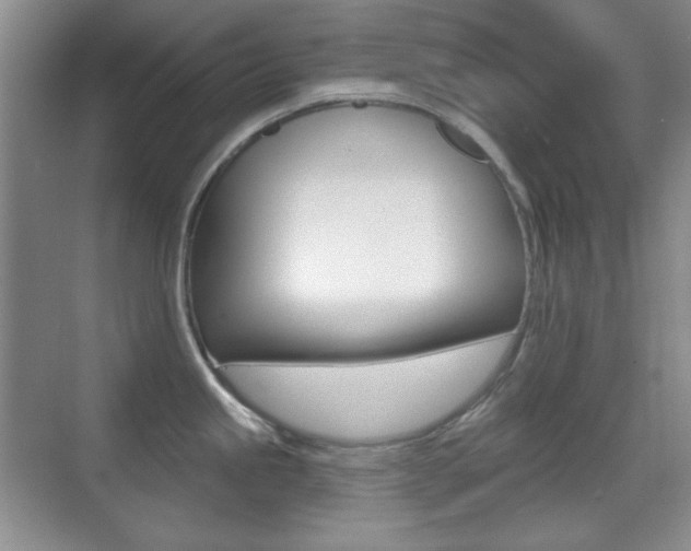 X0000070401245200606090921