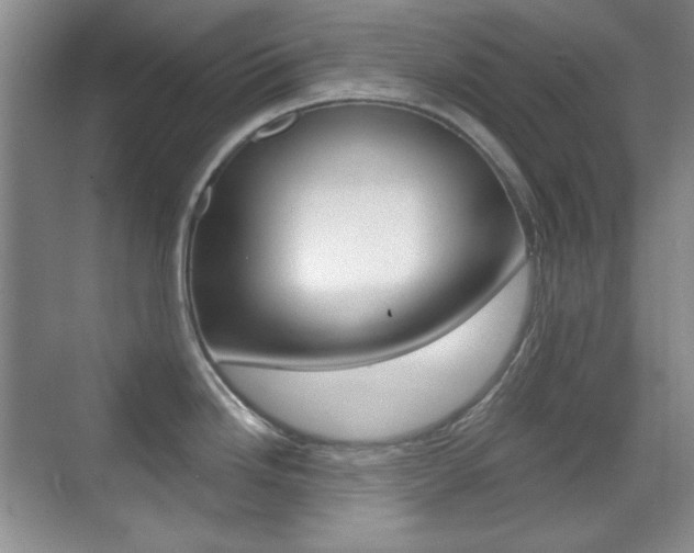 X0000070401246200606090921
