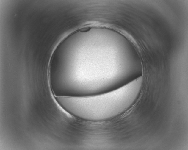 X0000070401247200606090921