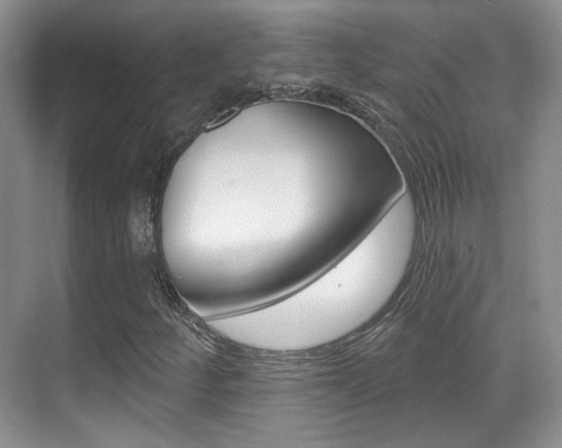 X0000070401252200606090921