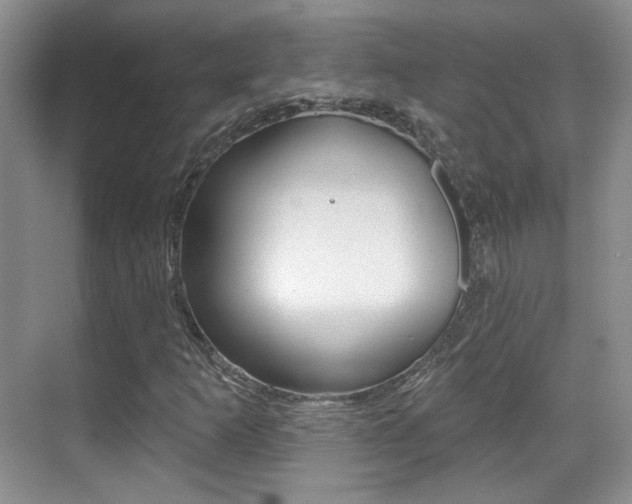 X0000070401253200606090920