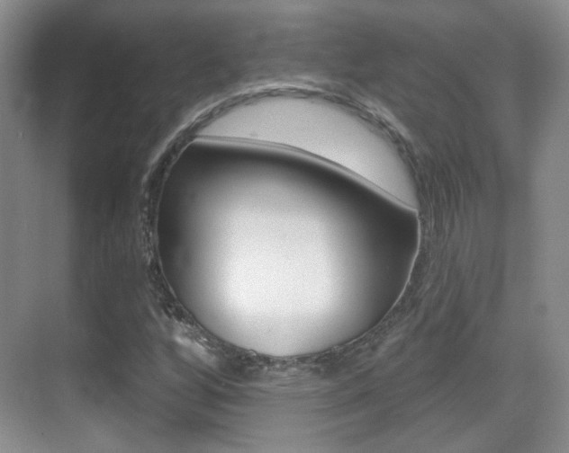 X0000070401256200606090920