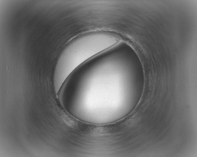X0000070401265200606090920