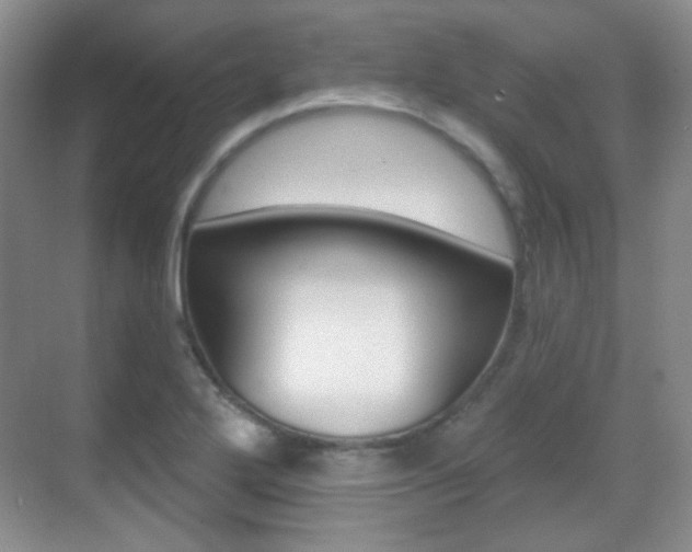 X0000070401272200606090920