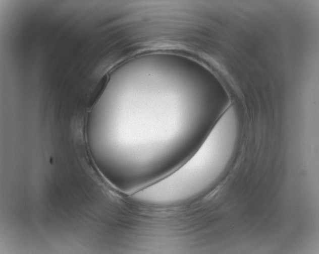 X0000070401273200606090920