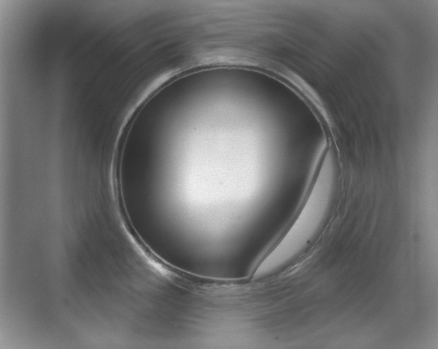 X0000070401293200606090920